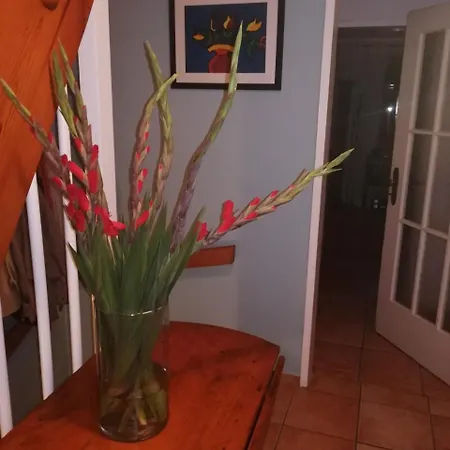 Apartment Haus Rebe *