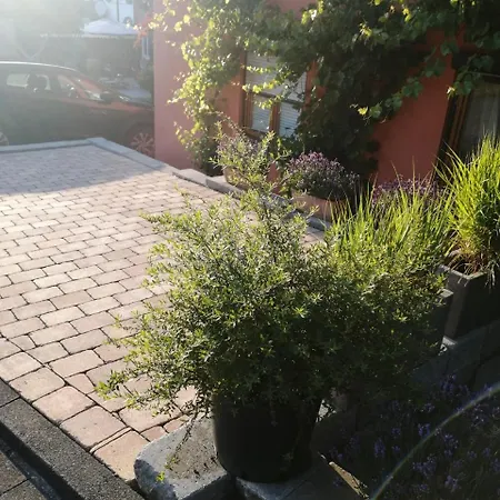 Haus Rebe * Meersburg