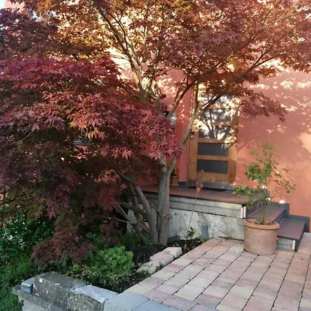 Haus Rebe 公寓 梅尔斯堡